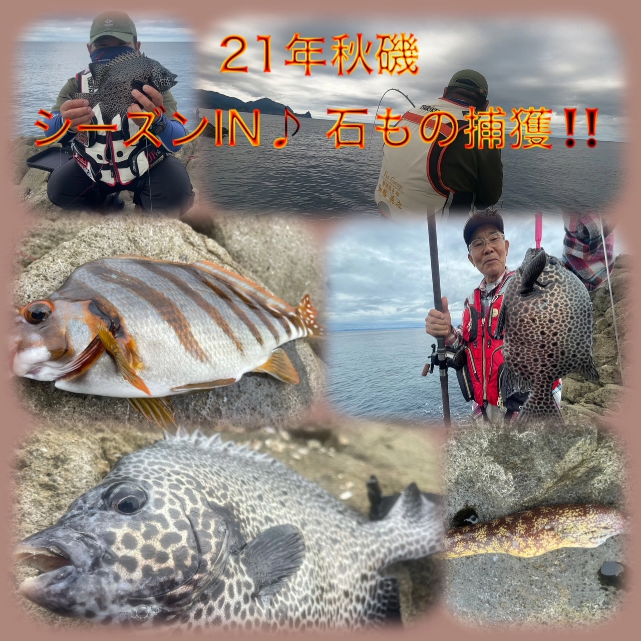 IMG_2184.JPG.webp?itok=RMYZg86b